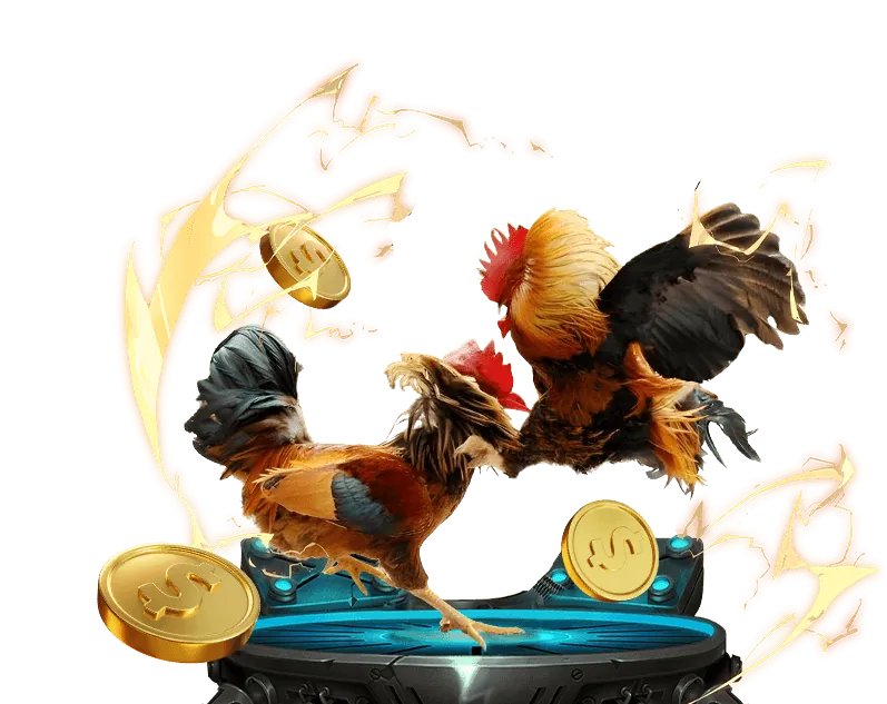 Ưu đãi VIP độc quyền cho đá gà U888